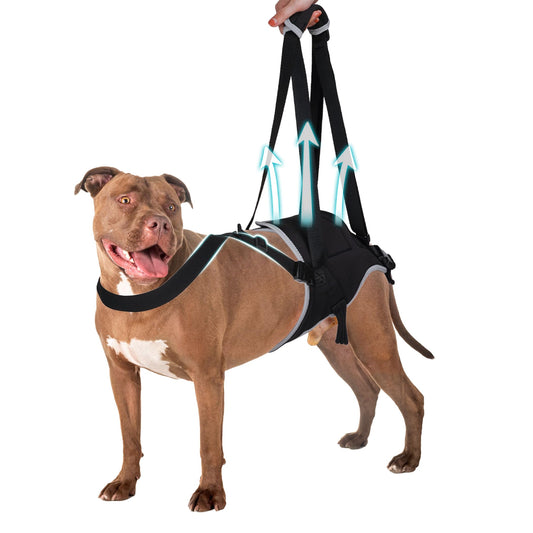 Dog Rear Leg Support Sling Harness — Hip & Joint Lift (XL)
