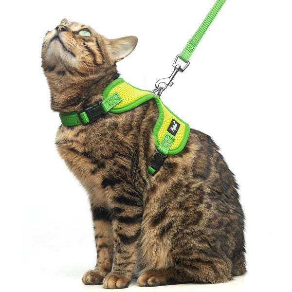 Cat Harness & Leash Set — Escape-Proof Reflective Mesh Vest