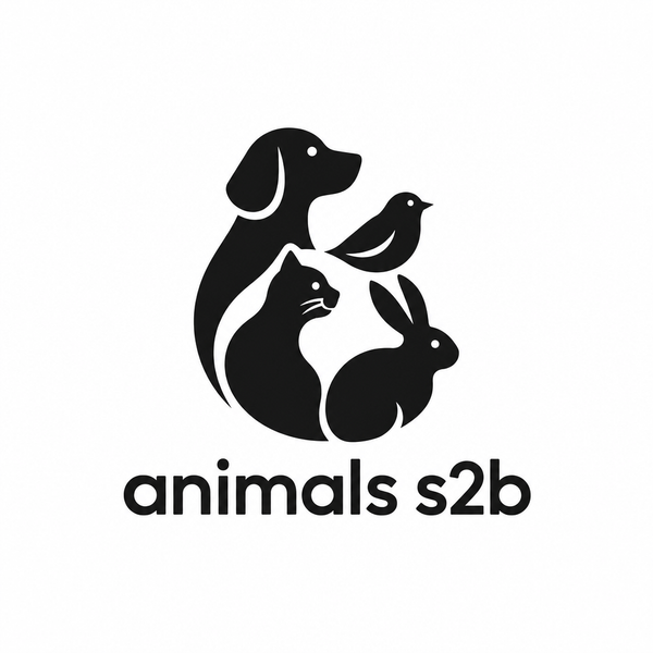 animals s2b